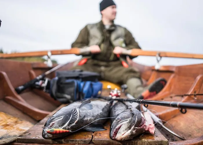 Luongasloma Дом отдыха Палойоэнсуу